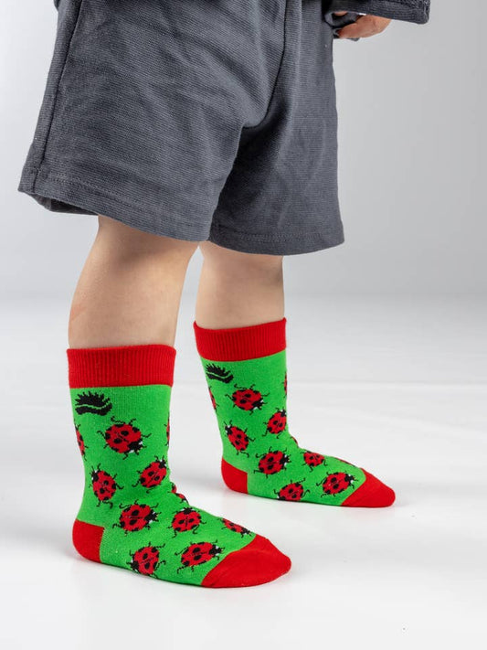 Hedgy Socks - KIDS BAMBOO SOCKS | LADYBIRD SOCKS